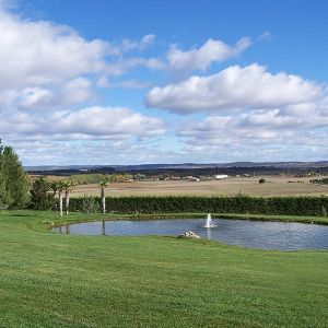 Nuestros trabajos de jardinería León Nuestros trabajos de jardinería León