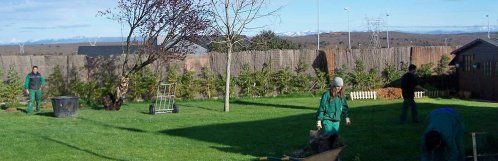 Horarios y localización de Técnica Verde León Horarios y localización de Técnica Verde León